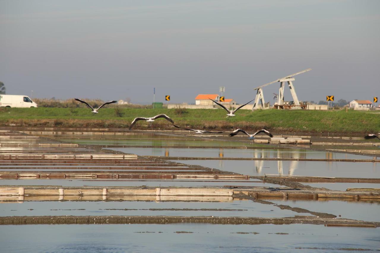 Aveiro'S Dock Apartments エクステリア 写真